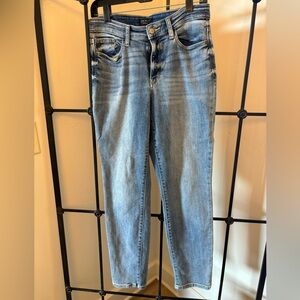 Judy blue boyfriend that size 5/27 light wash nondistressed jeans